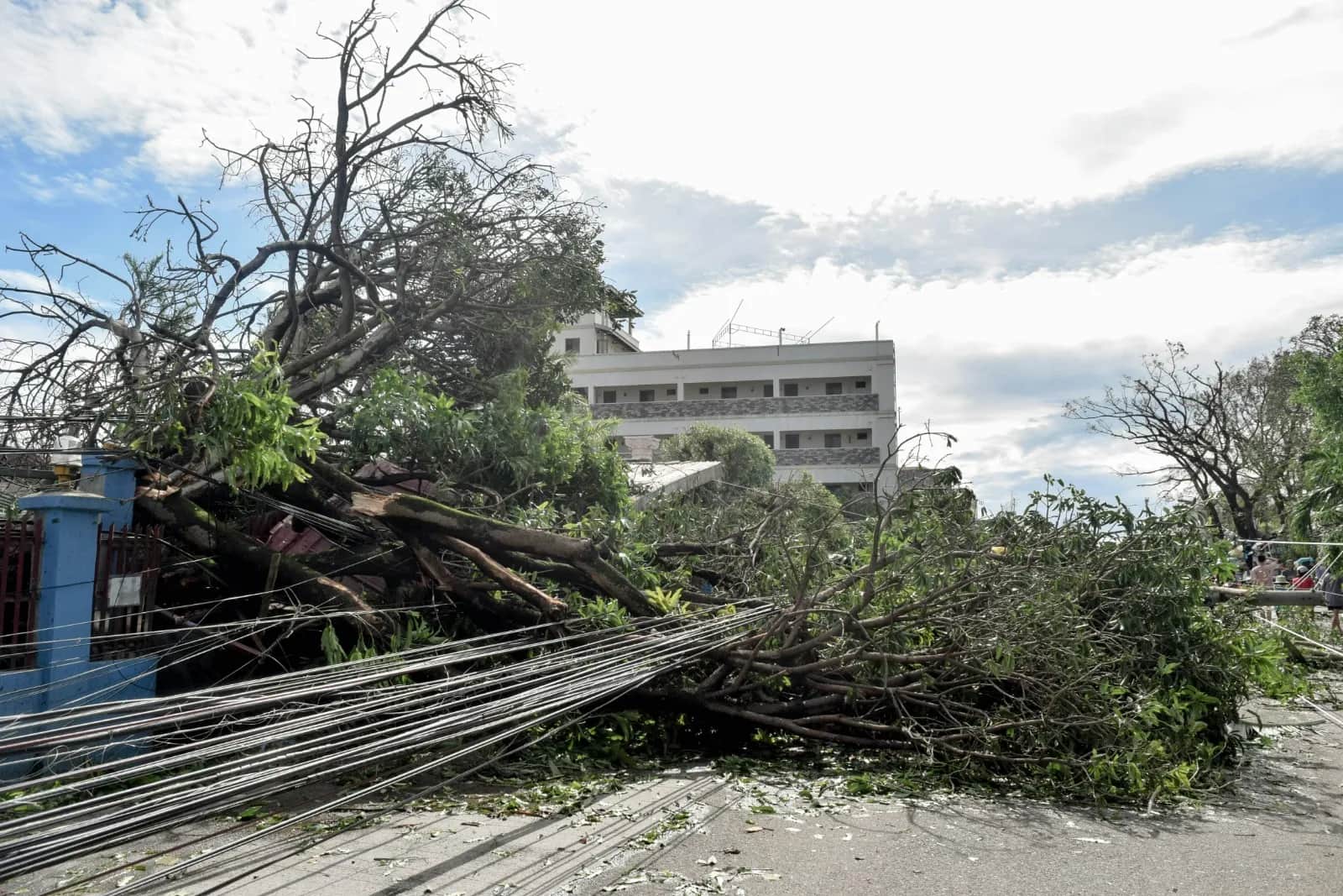 Storm Damage Response