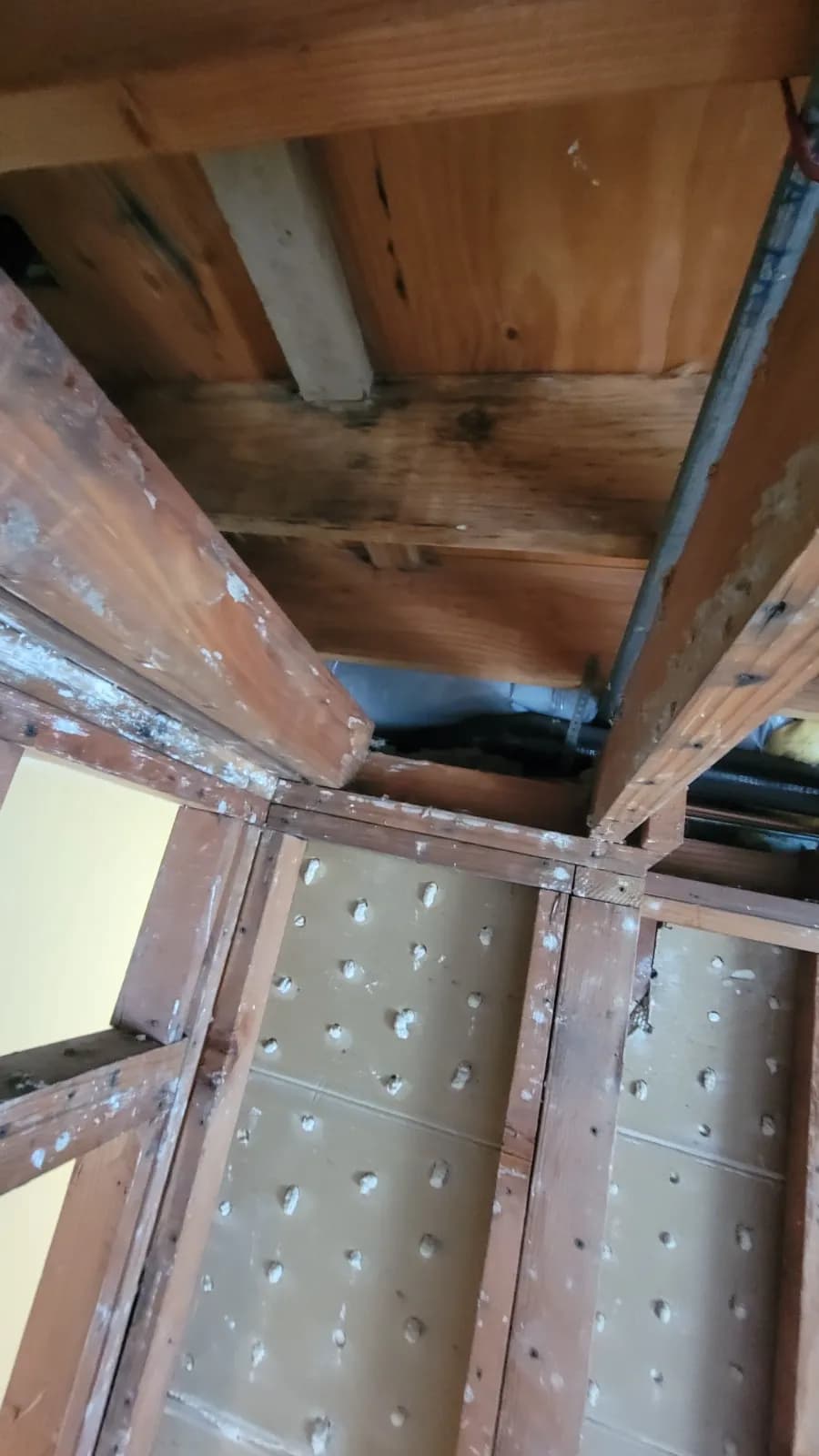 Water Damage Restoration - Before