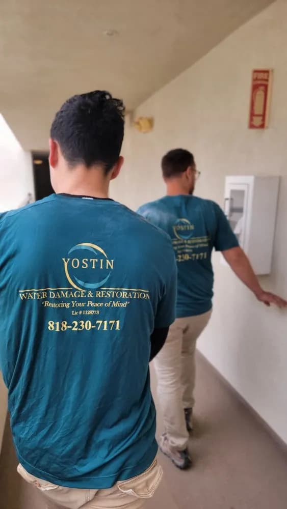 Professional Odor Removal Team