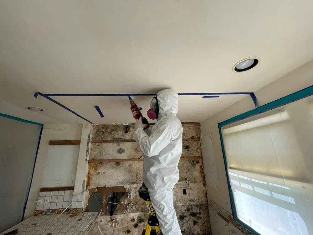 Professional Trauma Cleanup Services