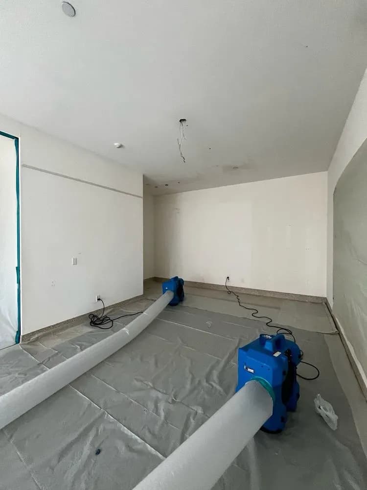 Advanced Mold Remediation