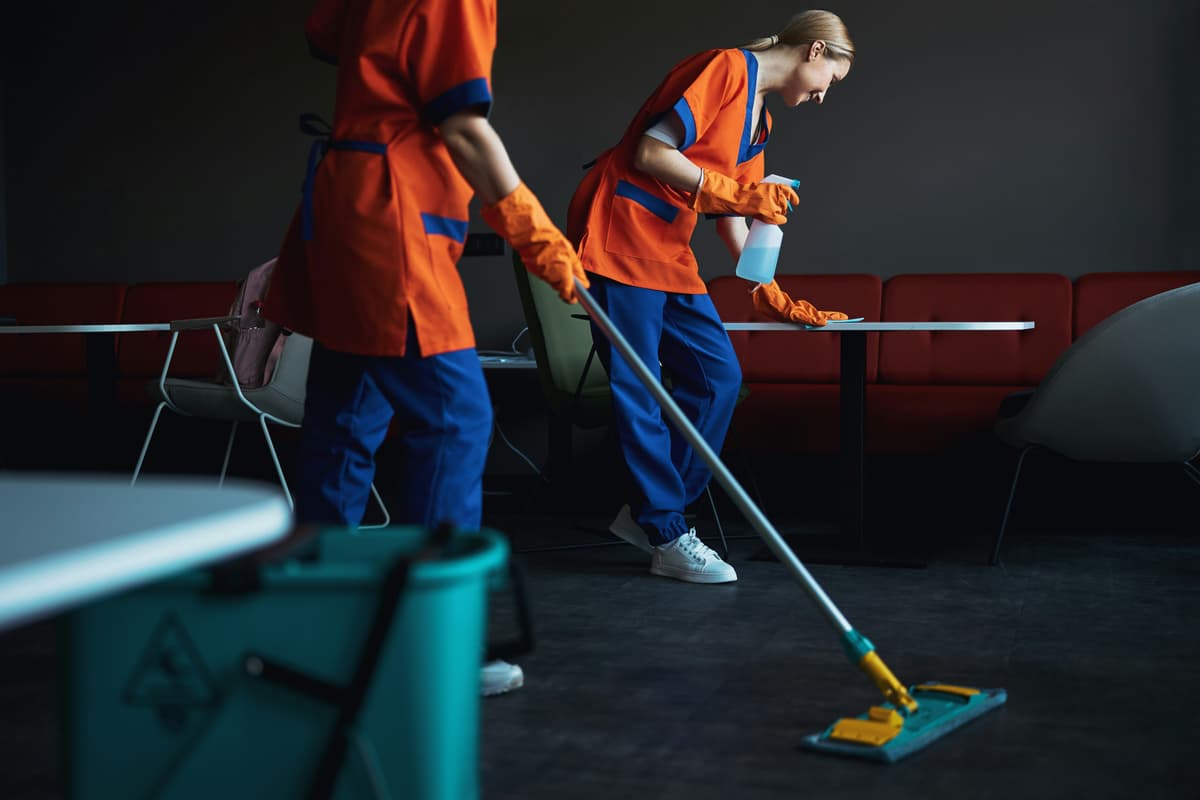 Professional Crawlspace Encapsulation Team