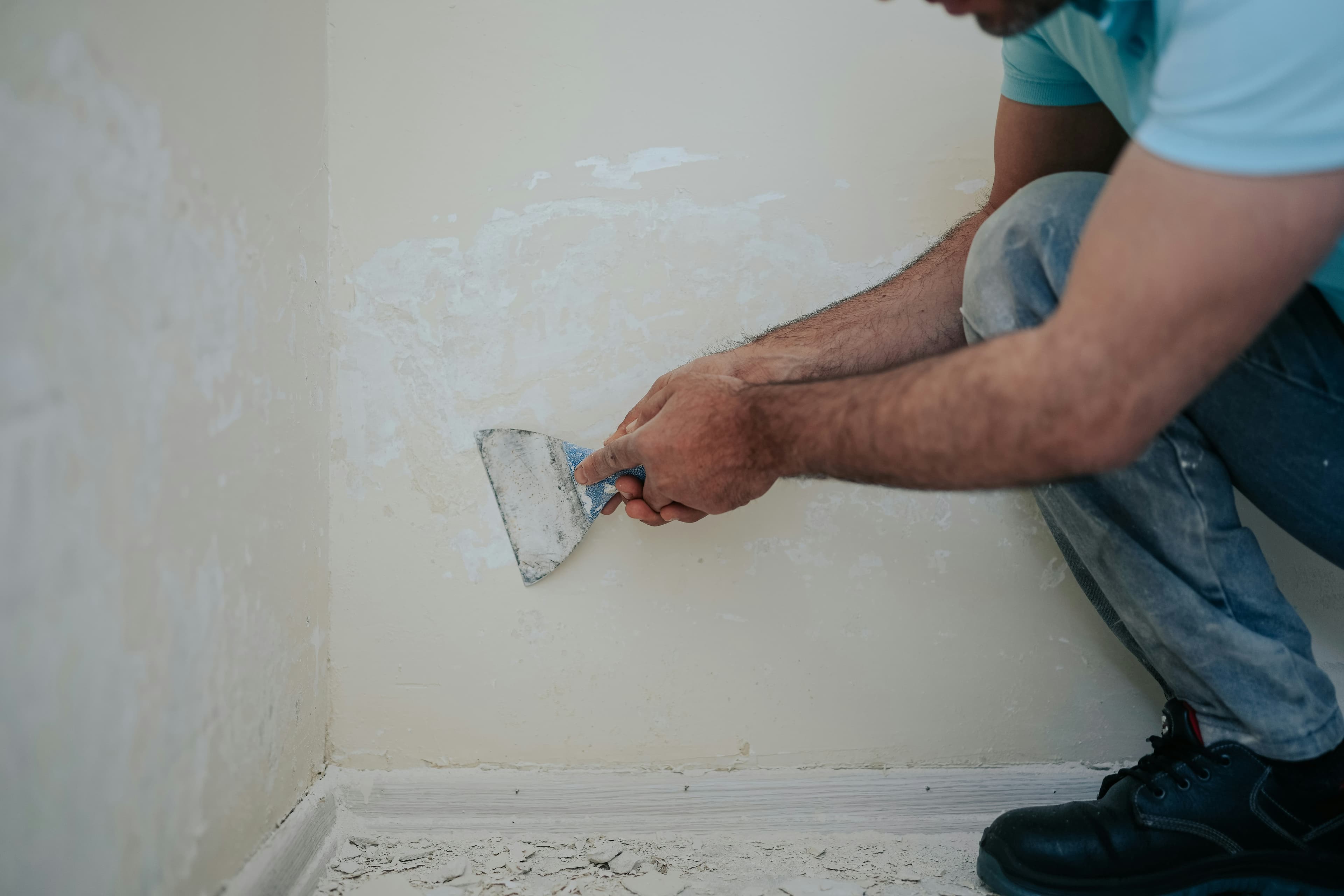 Mold Remediation