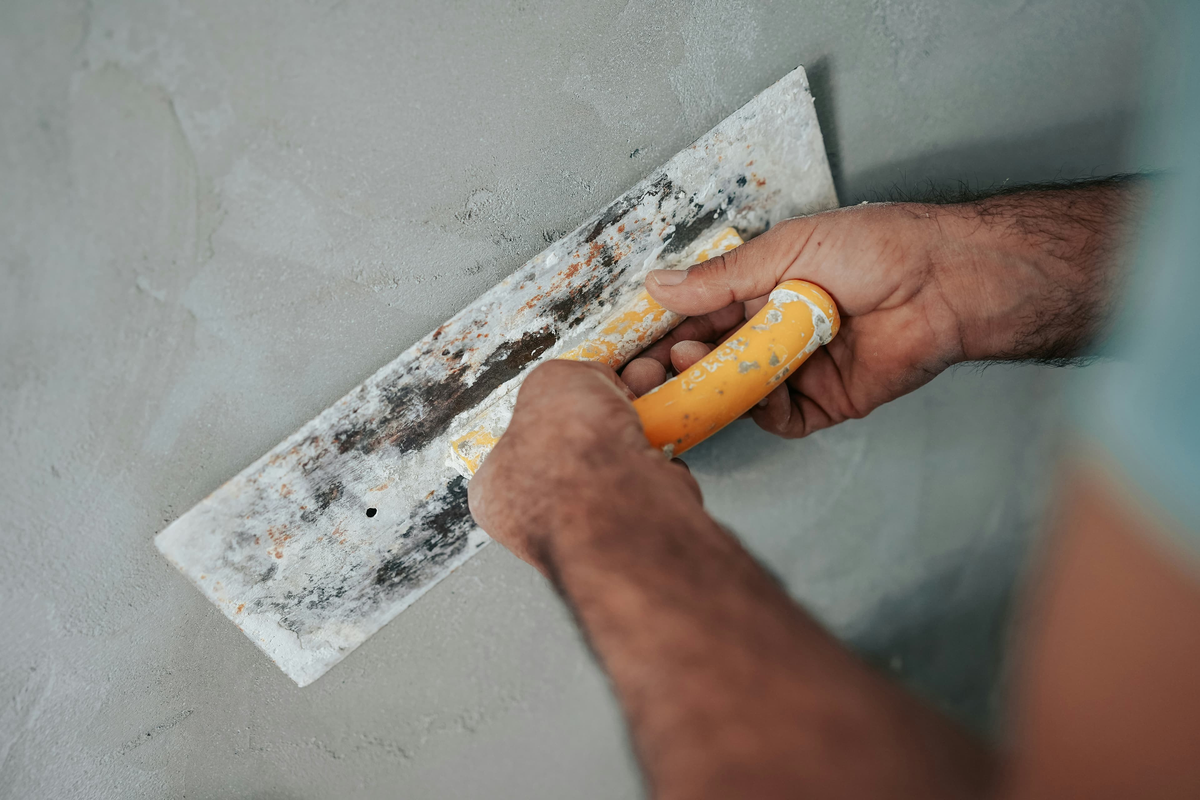 Mold Removal