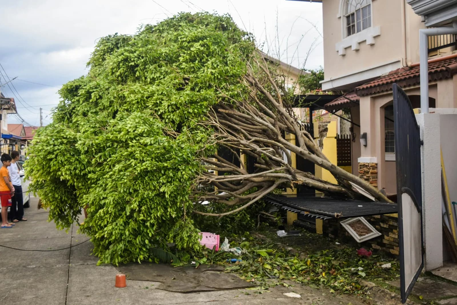 Disaster Recovery Services