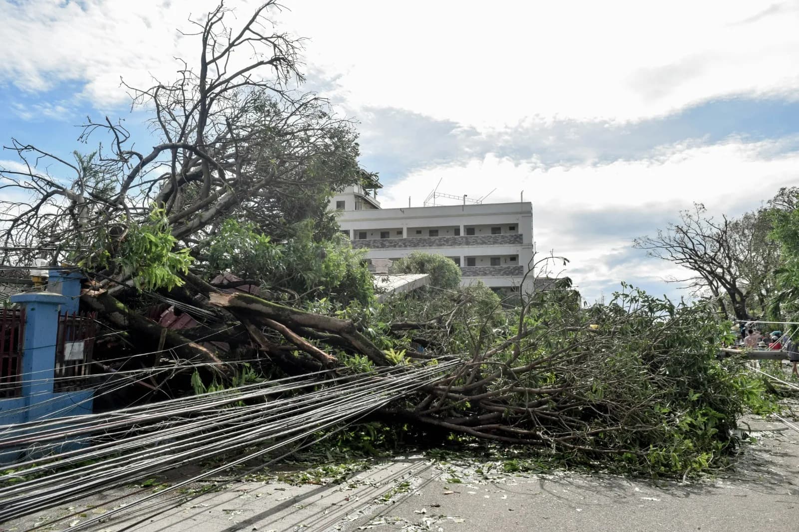 Storm Damage Response