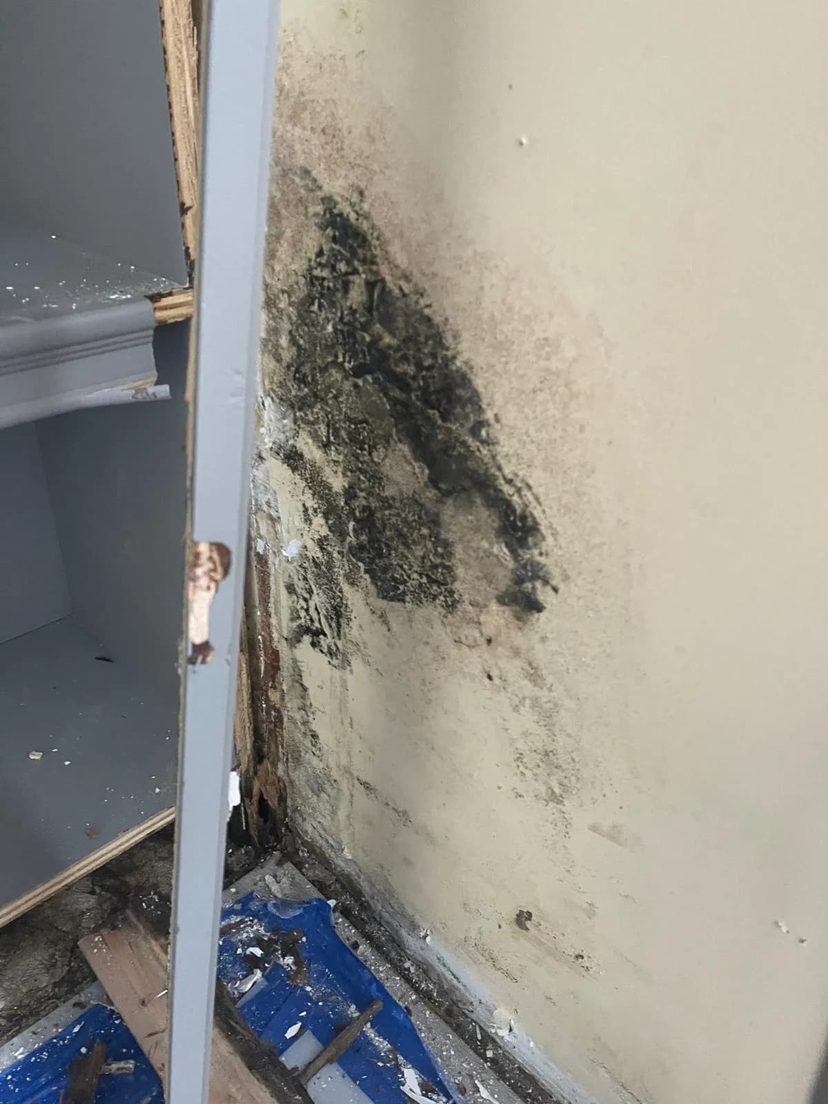 Emergency Water Damage Response
