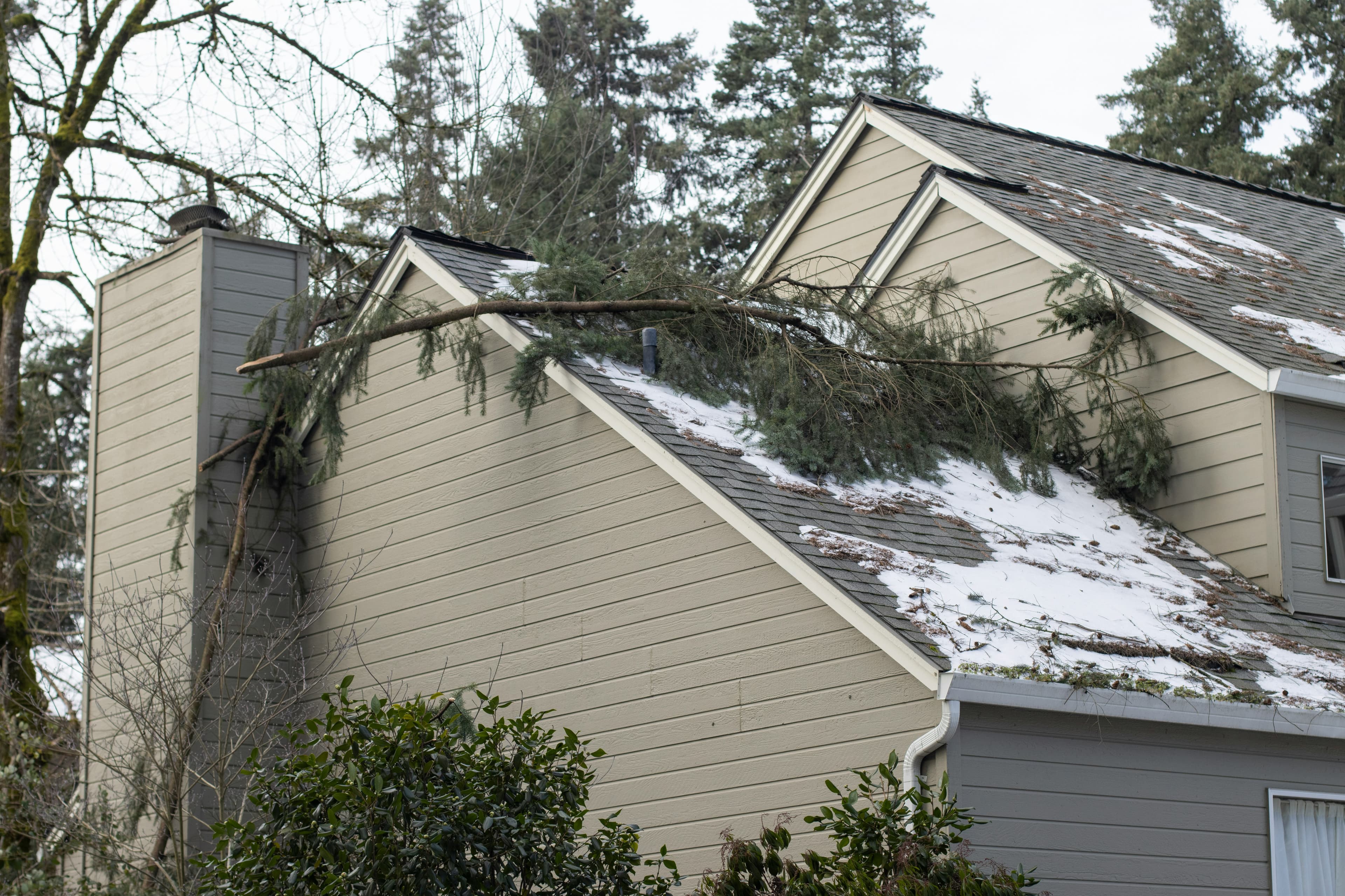Wind Damage