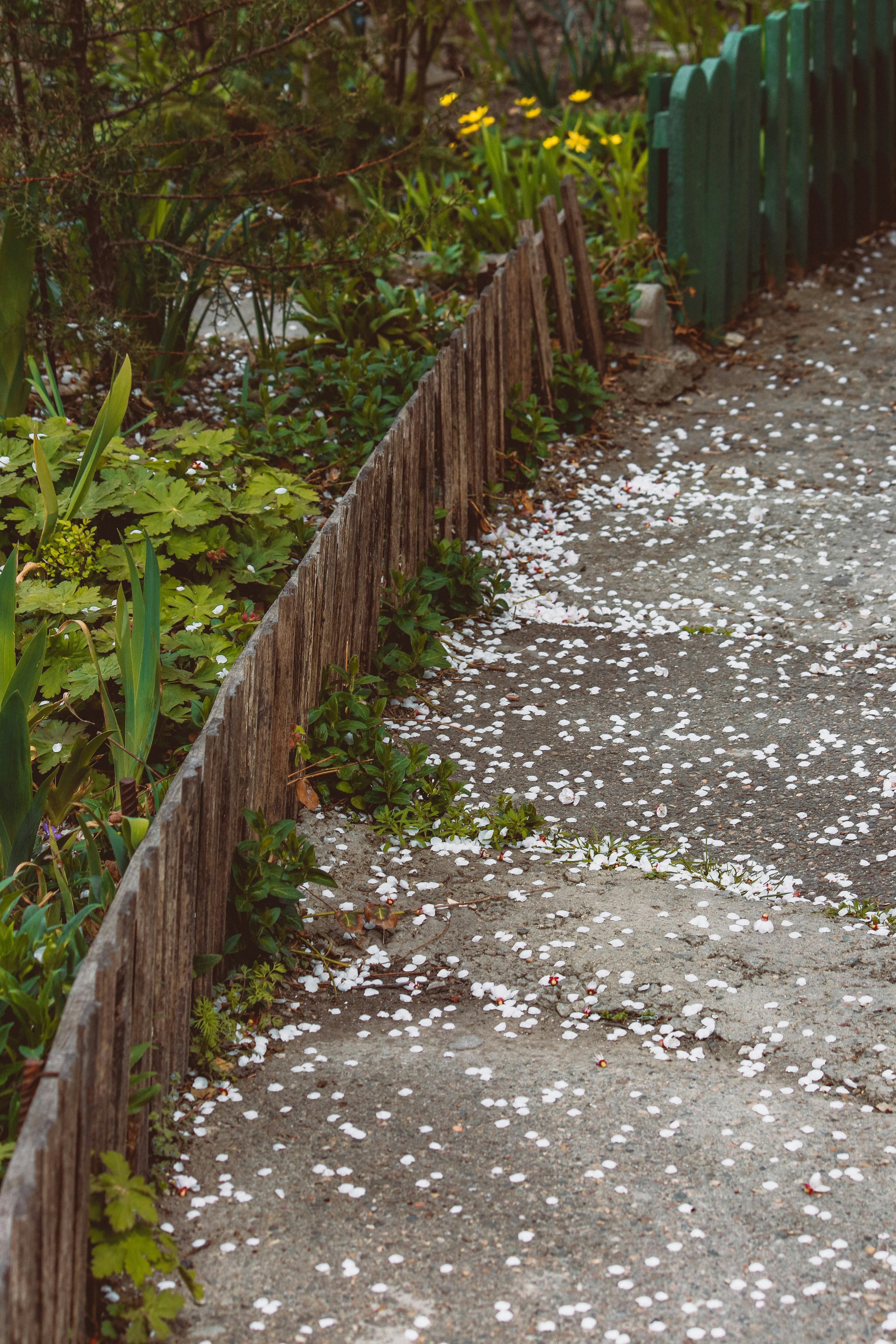 Hail Damage