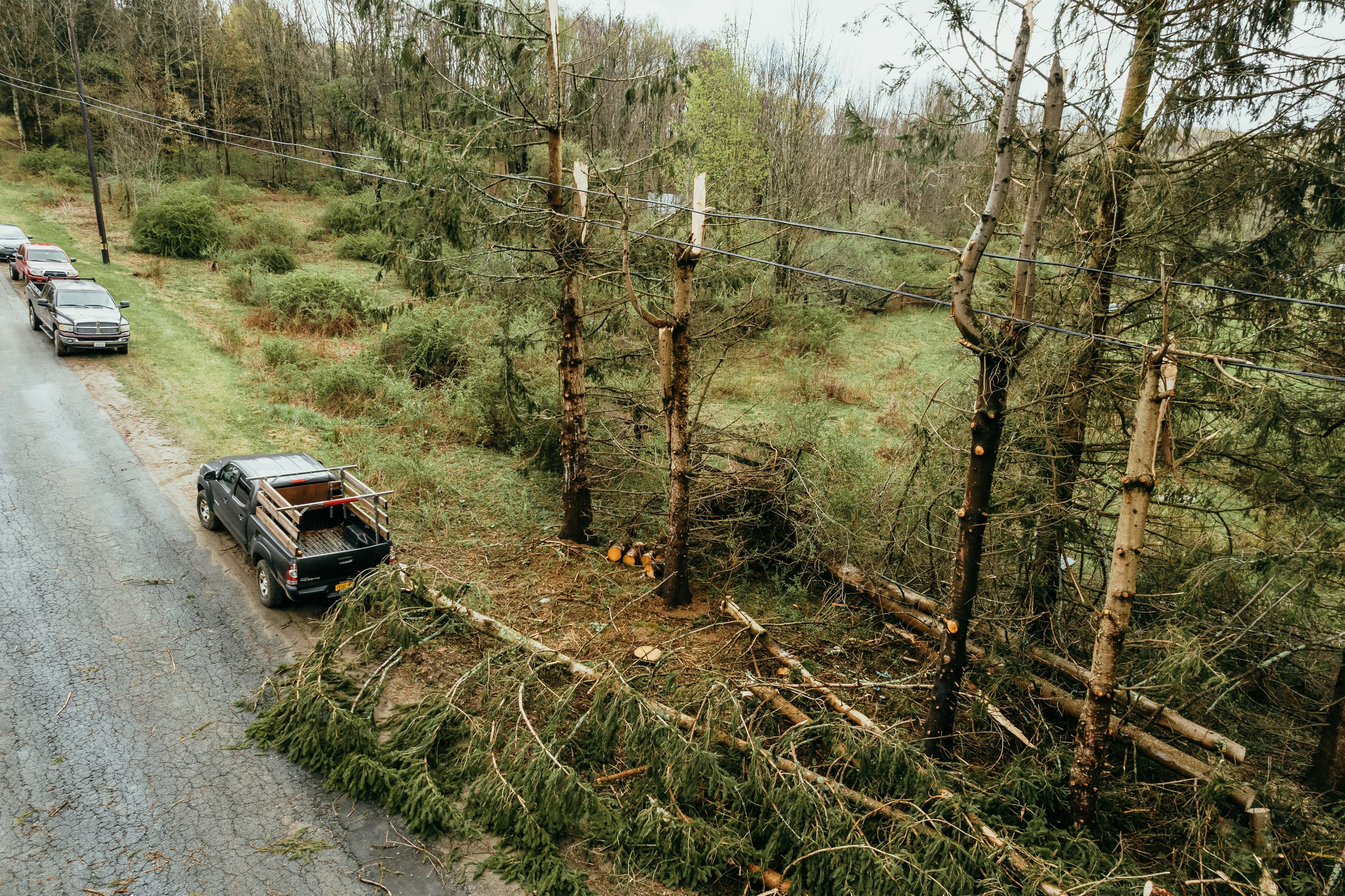 Storm Damage Restoration Services