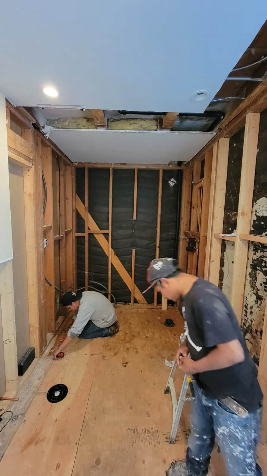 Mold Remediation - Before
