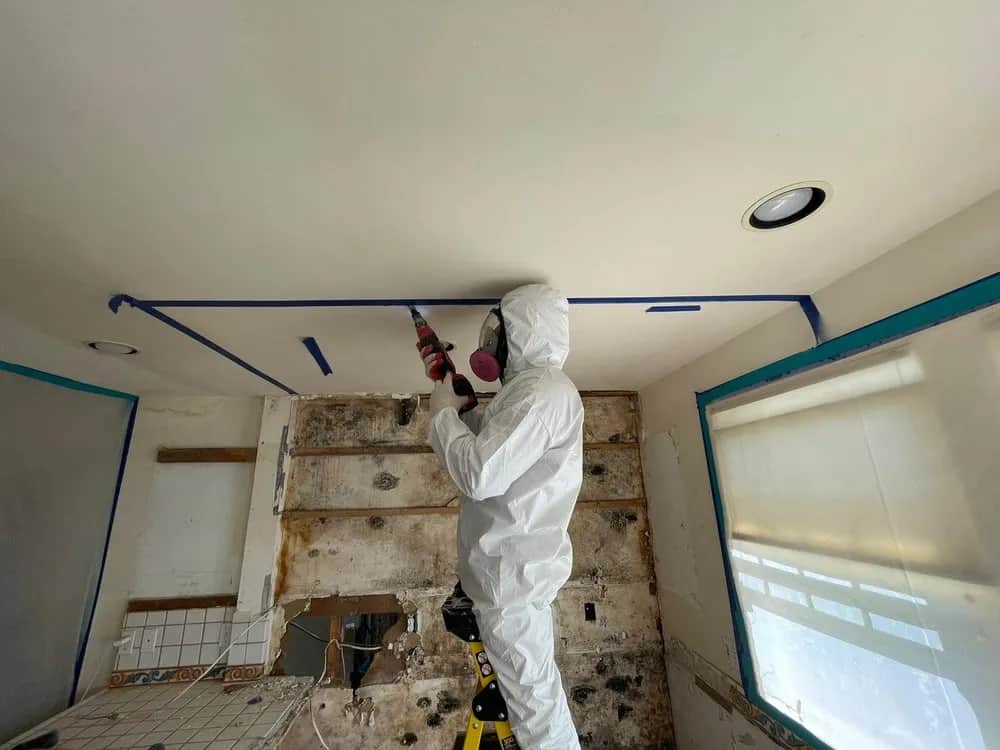Mold Remediation