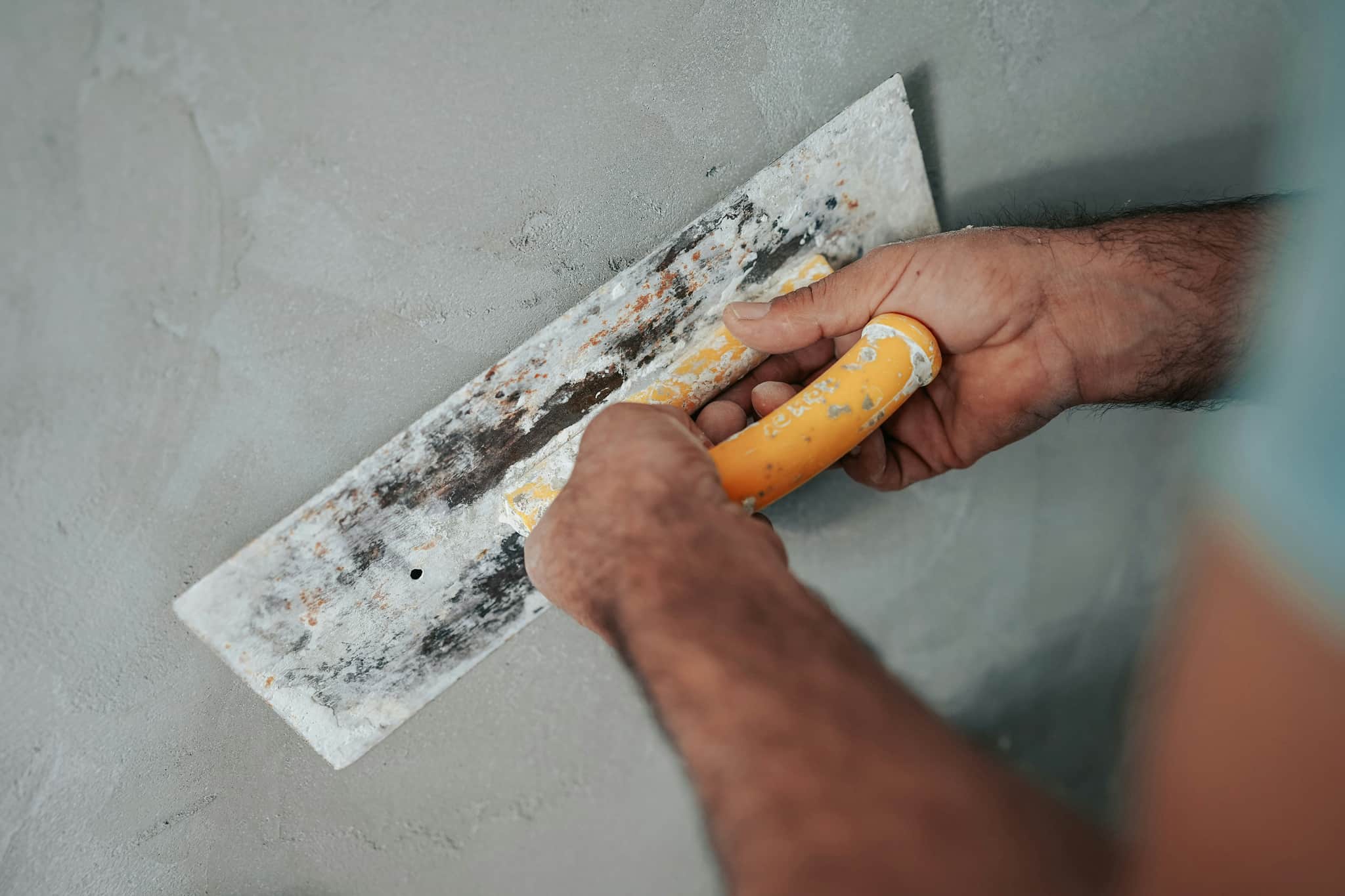 Mold Removal