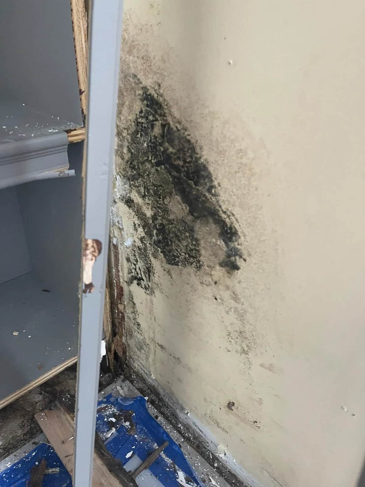 Emergency Water Damage Response