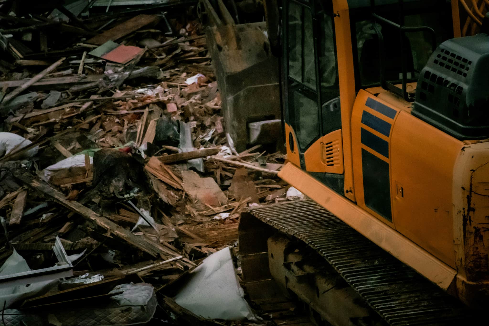Professional Restoration Services