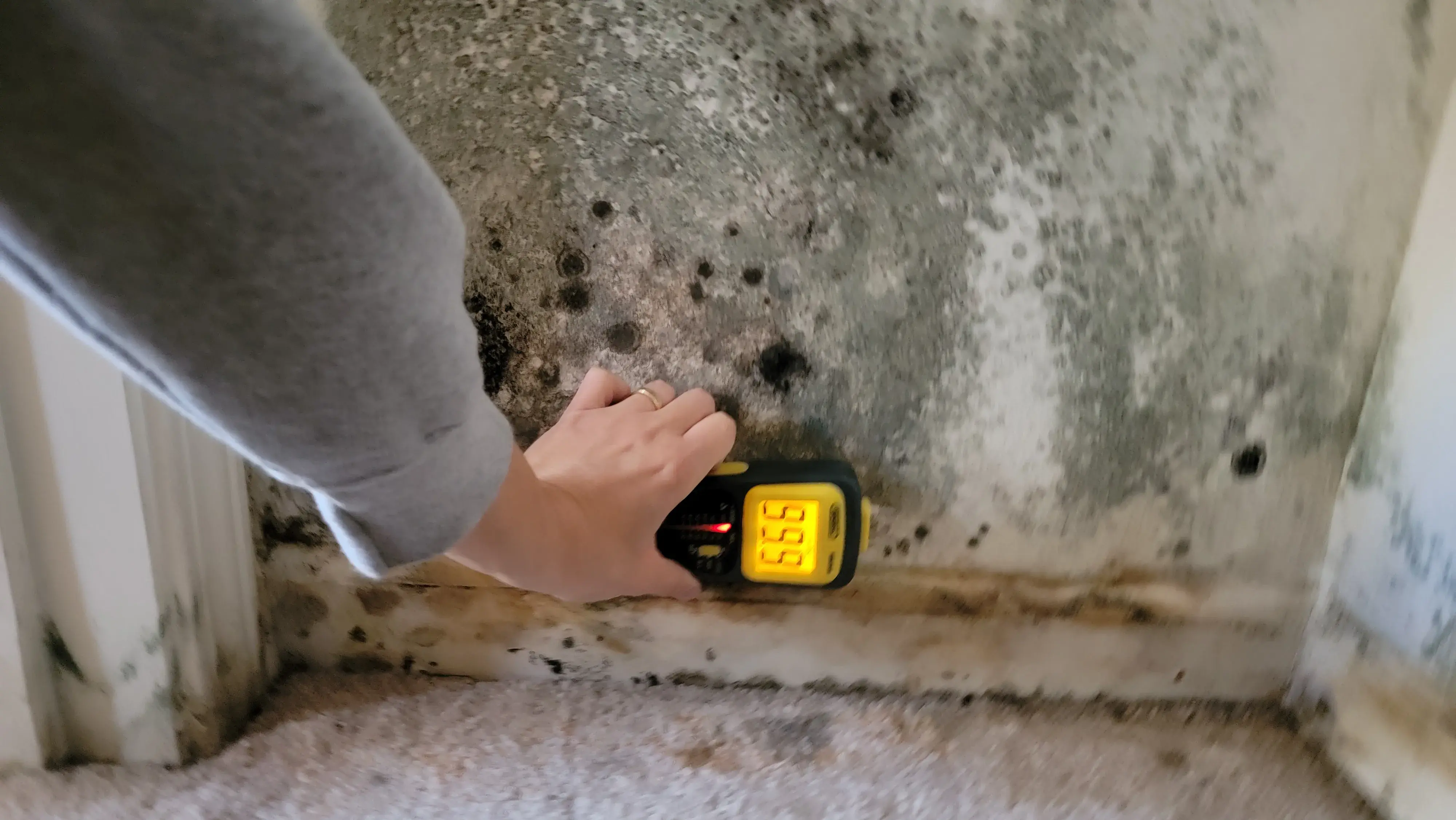 How Certified Mold Specialists Treat Contaminated Areas in Reseda Homes