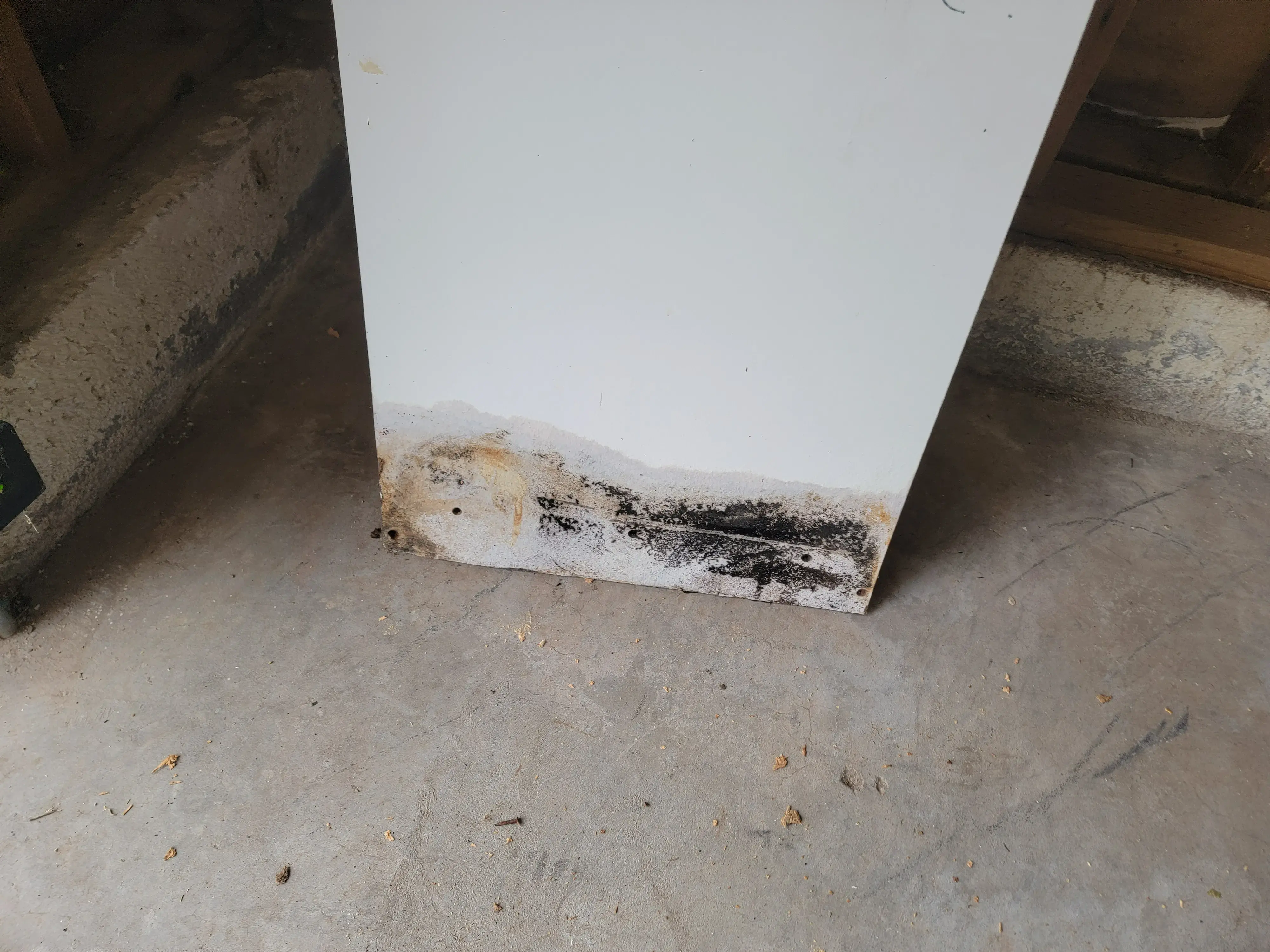 What Reseda Homeowners Should Know Before Attempting DIY Mold Cleanup